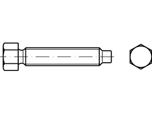Fiksatoriai šešiakampe galva, cilindriniu smaigaliu, DIN 561