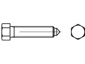 Fiksatoriai šešiakampe galva, kūginiu smaigaliu, DIN 564, DIN 564, vaizdas 2