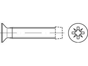 Sraigtai įleidžiama galva, formuojantys sriegį, DIN 7500 M