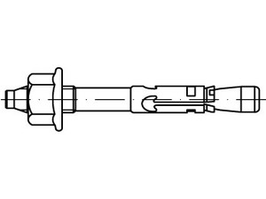 Ankeriai pleištiniai, su žiedu, vaizdas 2