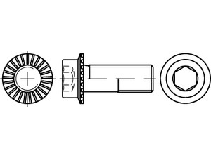 Varžtai flanšiniai vidiniu šešiakampiu, R 88912